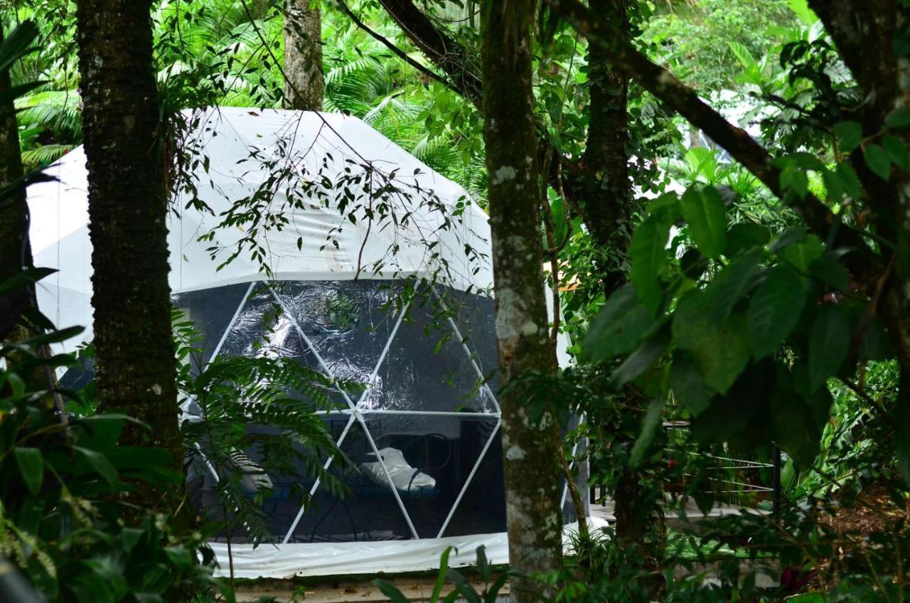 Palo Alto Glamping Hotel Quesada  Екстер'єр фото